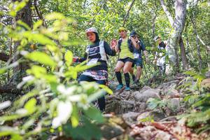 BIB: 
                            <button type="button" onclick="openModal(27699020)" class="btn btn-primary btn-sm float-right btn-popup" data-toggle="modal" data-target=".modal-high-quality">
                        <i class="fas fa-shopping-cart"></i> Add to Cart
                    </button>
                                            <button type="button" onclick="isThisMe(27699020, true)" class="btn btn-success btn-sm float-right btn-popup btn-isme hidden" data-toggle="tooltip" data-placement="bottom" title="นี่คือรูปของคุณใช่ไหม คลิกที่นี่เพื่อเอาเข้าอัลบั้ม">
                        <i class="fas fa-plus"></i> Add to album
                    </button>
                    <button type="button" onclick="isThisMe(27699020, false)" class="btn btn-warning btn-sm float-right btn-popup btn-isnotme hidden">
                        <i class="fas fa-ban"></i> Remove from album
                    </button>